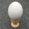 Kids DIY Painting Wooden Color Egg Toy Easter Egg Education Toys Gift